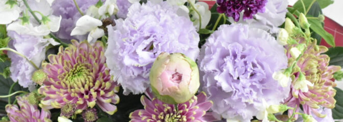 贈り物にもおすすめフラワーギフト特集